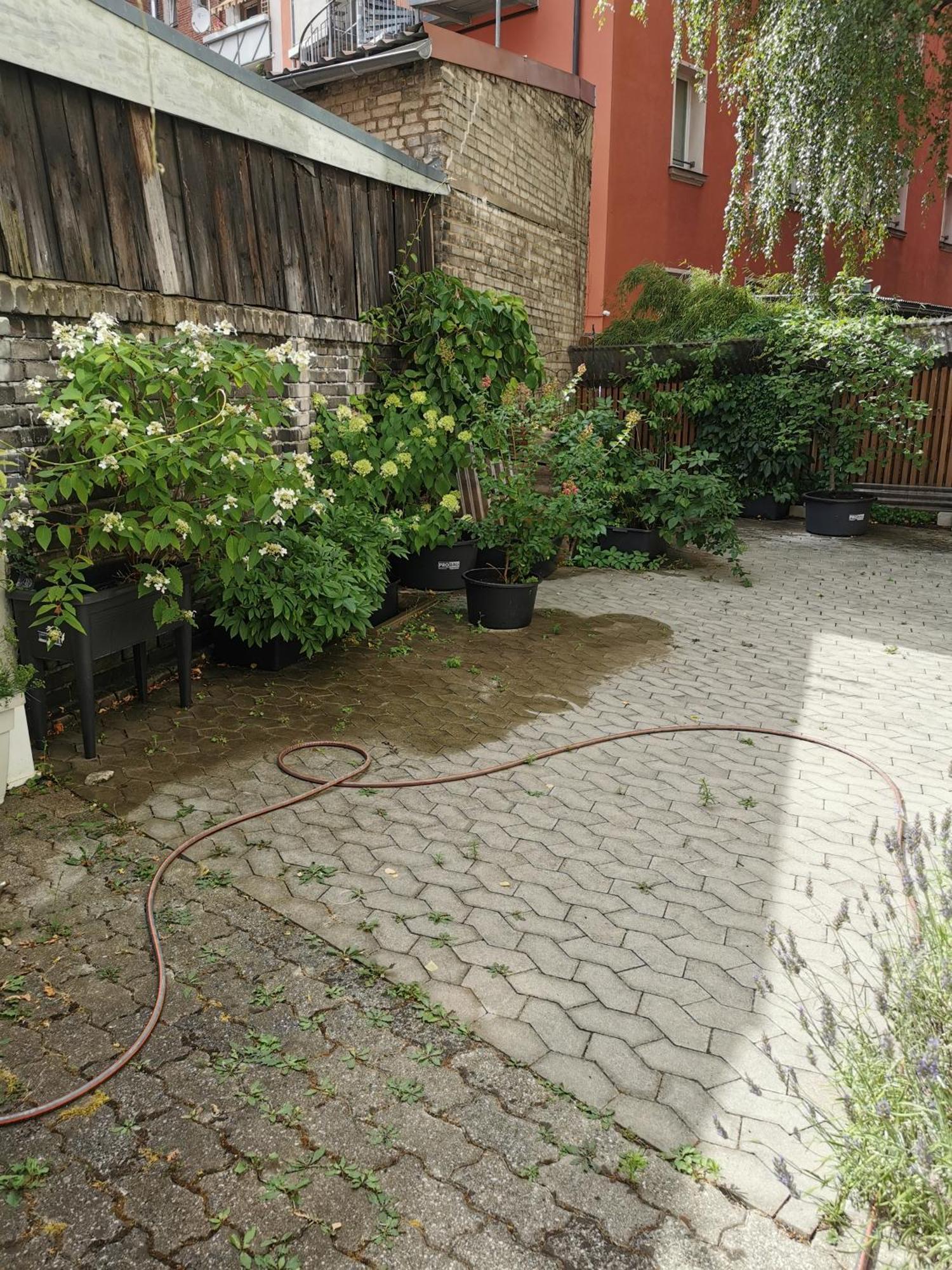 Apartment Homestay Nuernberg